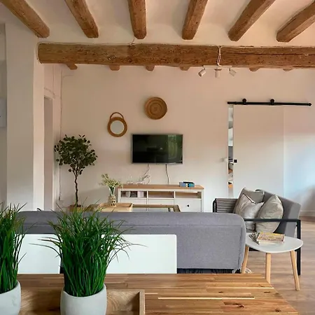 Apartmán Cal Moline El Niu Aviá