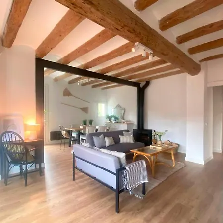 Cal Moline El Niu Apartmán Aviá